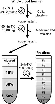 Isolation of High-Purity Extracellular Vesicles by the Combination of Iodixanol Density Gradient Ultracentrifugation and Bind-Elute Chromatography From Blood Plasma